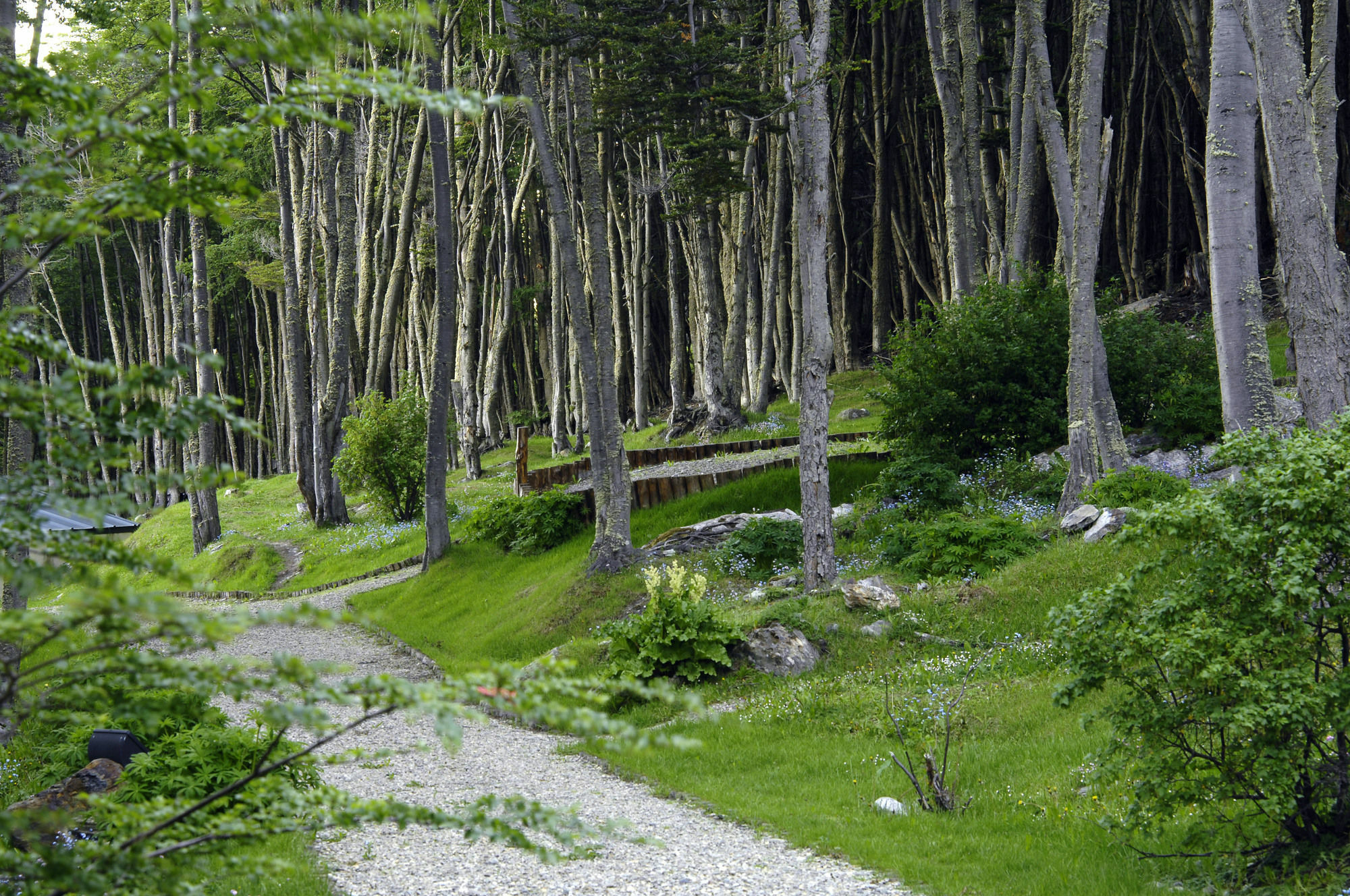 Las Hayas Ushuaia Resort Dış mekan fotoğraf